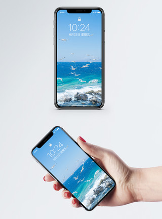 大梅沙海景海鸥手机壁纸模板
