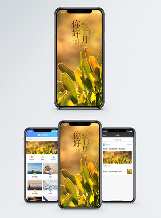 你好十月手机海报配图模板