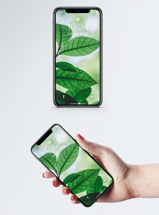 绿色叶子纹理光和绿叶手机壁纸模板
