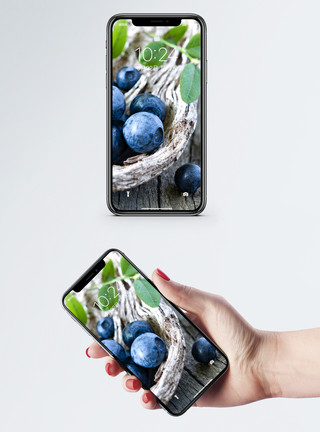 果篮素材蓝莓手机壁纸模板