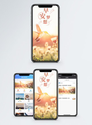安静的小鸟早安梦想手机海报配图模板