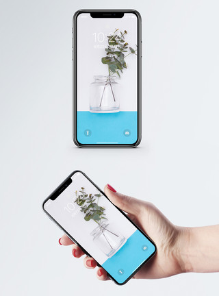玻璃瓶植物尤加利叶手机壁纸模板