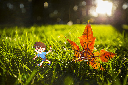 红落叶秋天的枫叶创意插画摄影插画