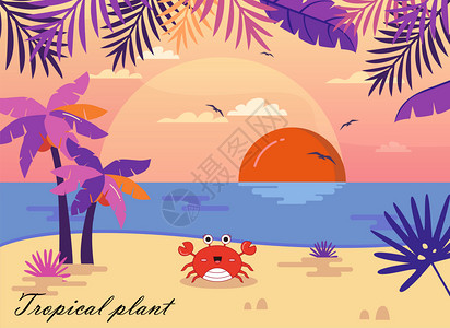 度假风热带植物背景背景图片