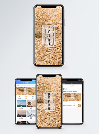 营养谷物世界粮食日手机海报配图模板