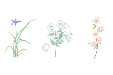 花卉小物背景图片