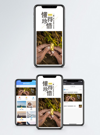 大豆卵磷脂珍惜手机海报配图模板