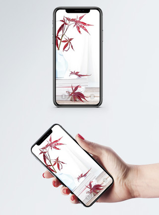 白猫与植物枫叶与书手机壁纸模板