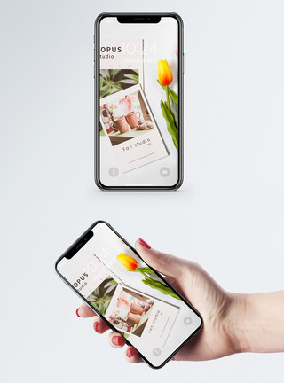 新生活郁金香与卡片手机壁纸模板