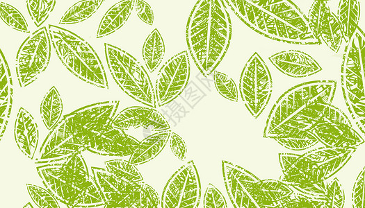 绿色叶子纹理绿色叶脉设计图片