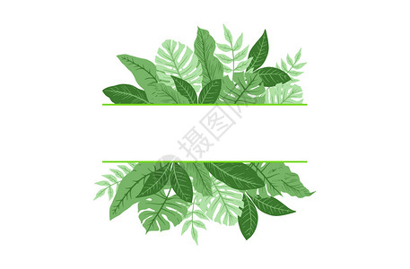 绿色手绘树叶热带叶子植物插画