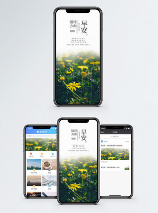 秋菊花早安手机海报配图模板