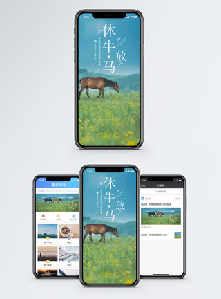 草原上的马休牛放马生活手机海报配图模板