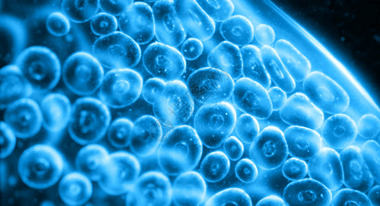 藻细胞细胞医疗设计图片