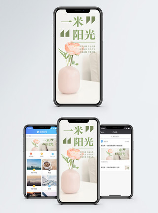 盆栽鲜花一米阳光手机海报配图模板