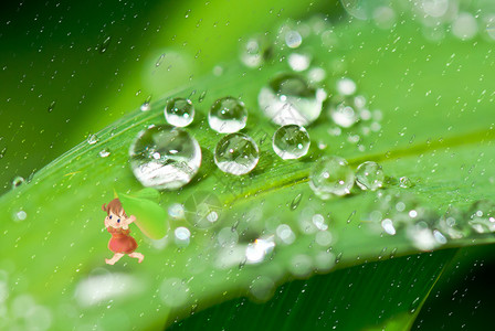 可爱小姑娘躲雨的小姑娘设计图片