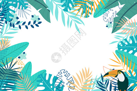 易拉宝模版热带植物背景插画