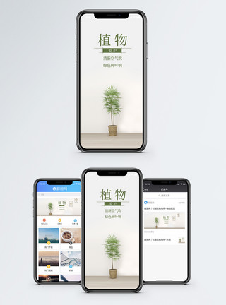 净化家居植物手机海报配图模板