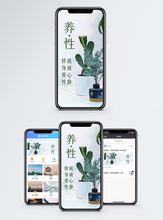 家居养生修身养性手机海报配图模板