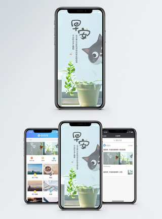 惊讶小猫早安手机海报配图模板