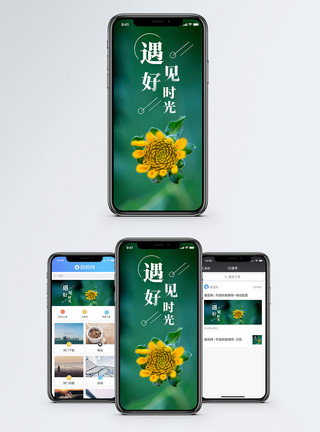 花蕊遇见好时光手机海报配图模板