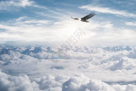 飞翔的闹钟黄昏下的云海设计图片