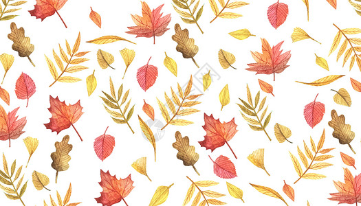 水彩手绘秋天叶子背景背景图片
