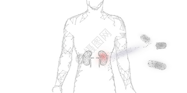 人体养生人体肾脏治疗设计图片