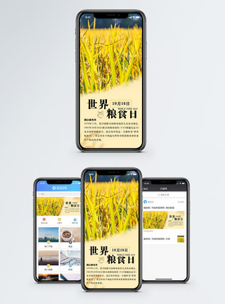 金黄的田野世界粮食日手机海报配图模板