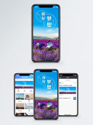 熏衣草花海你好梦想手机海报配图模板
