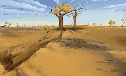 秋天的树木沙漠树木高清图片