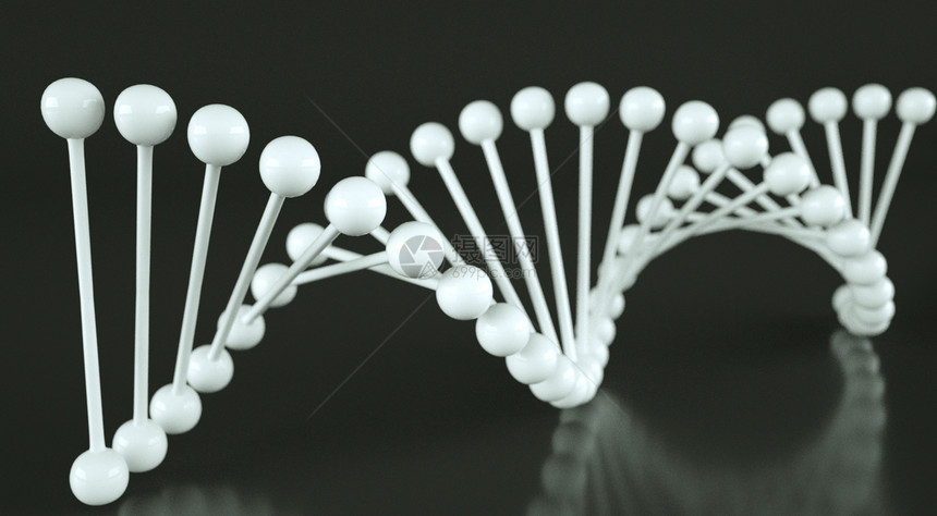 DNA分子结构图片