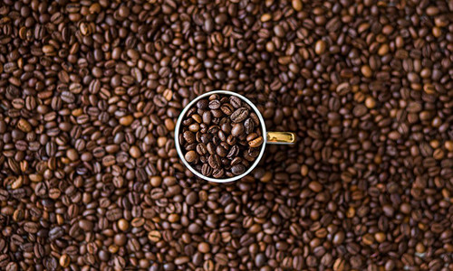 猫屎咖啡咖啡豆设计图片