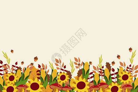 花卉背景背景图片