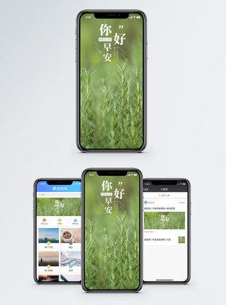 草地草丛小草早安你好手机海报配图模板