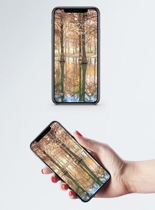 水森林红色的水杉树手机壁纸模板
