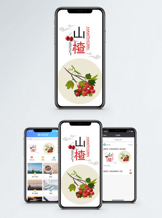 植物果实山楂手机海报配图模板