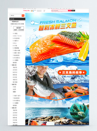 新鲜美味的鱼挪威三文鱼淘宝详情页模板