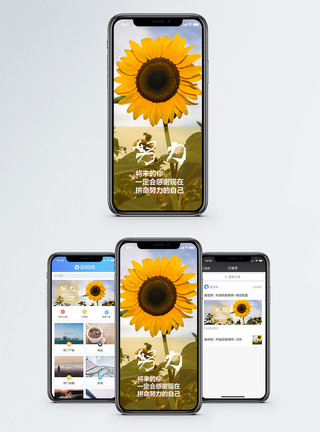 向日葵的字段太阳花努力手机海报配图模板