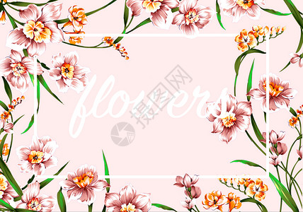 花卉线稿手绘兰花边框背景分层插画