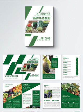 洋葱种植新鲜果蔬画册整套模板