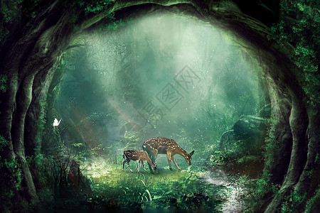 森林隧道乌克兰森林深处设计图片
