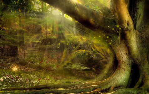 树根上面蘑菇梦幻森林设计图片