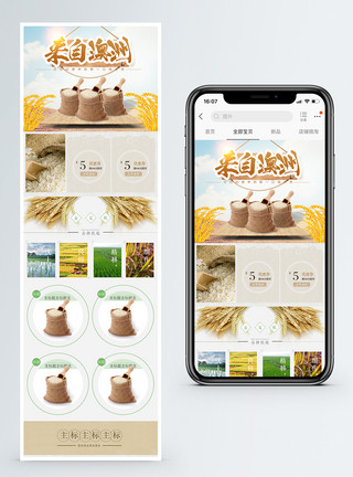 营养米进口大米淘宝手机端模板模板