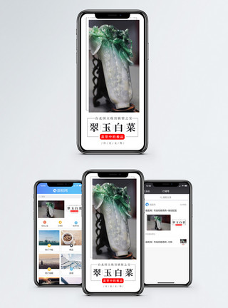 翡翠白菜文物国宝手机海报配图模板
