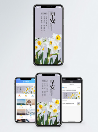 静物水仙花早安你好手机海报配图模板
