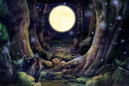暗黑森林月亮高清图片素材