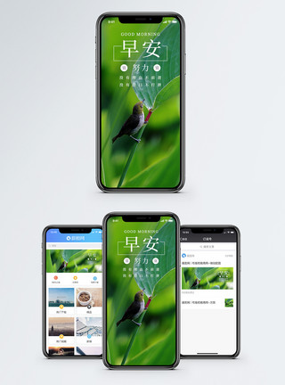 绿植小清新早安手机海报配图模板