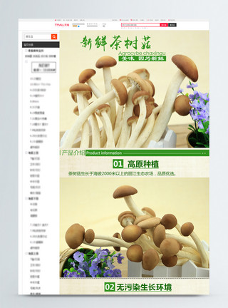 养生菌菇新鲜茶树菇淘宝详情页模板