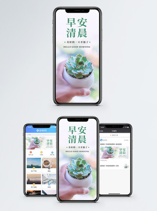 多肉盆栽春天早安手机海报配图模板